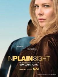 Смотреть В простом виде / In Plain Sight 5 сезон онлайн